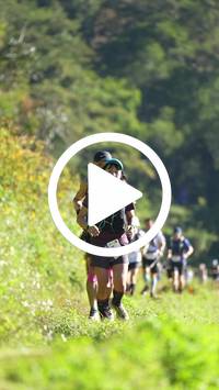 BIB:  <button type="button" onclick="openModal(26575716)" class="btn btn-primary btn-sm float-right" data-toggle="modal" data-target=".modal-high-quality">
                <i class="fa fa-download"></i> Download
                </button>